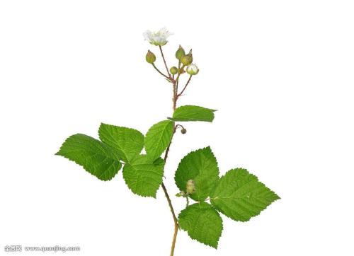 ¬ٰʾƷгģ48Ԫҵ͸ʽԼ5%