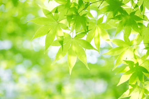 Լ͸¶ڿԱ˹F-16սѵڹҪ48ܡսʤ˹