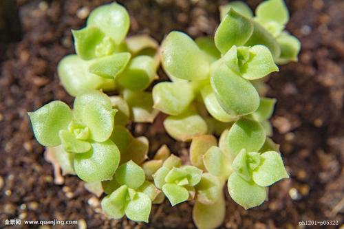 ǩԼĿ ͶԼ7.65ڽΪڽ